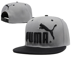 Puma [Ref. 03]